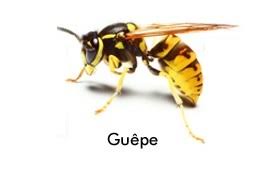 Réalisation Clermont