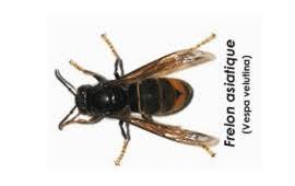 Réalisation Clermont