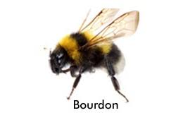 Réalisation Clermont