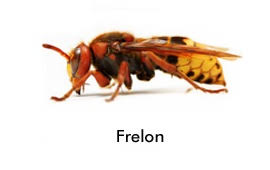 Réalisation Clermont